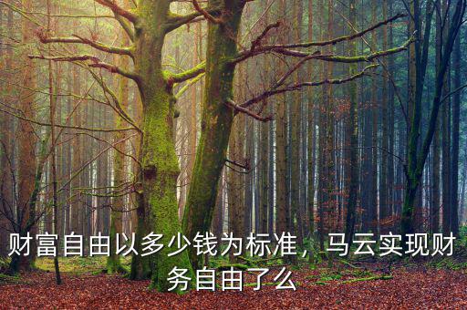 財富自由以多少錢為標準，馬云實現(xiàn)財務自由了么