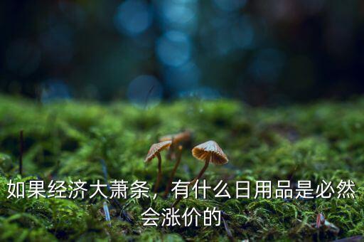如果經(jīng)濟(jì)大蕭條，有什么日用品是必然會(huì)漲價(jià)的