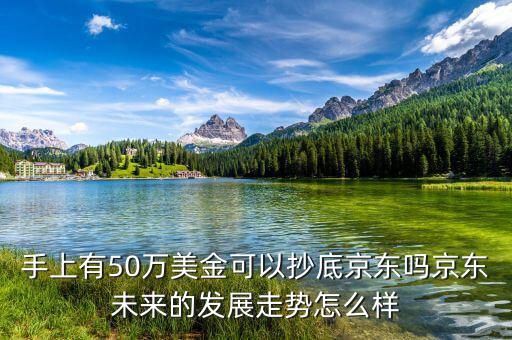 手上有50萬美金可以抄底京東嗎京東未來的發(fā)展走勢(shì)怎么樣