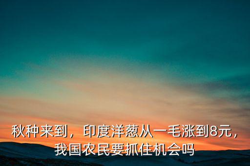 秋種來(lái)到，印度洋蔥從一毛漲到8元，我國(guó)農(nóng)民要抓住機(jī)會(huì)嗎