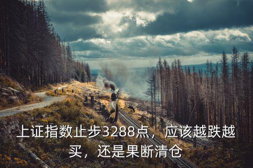 上證指數(shù)止步3288點(diǎn)，應(yīng)該越跌越買(mǎi)，還是果斷清倉(cāng)