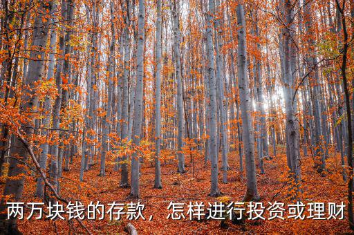 兩萬塊錢的存款，怎樣進行投資或理財