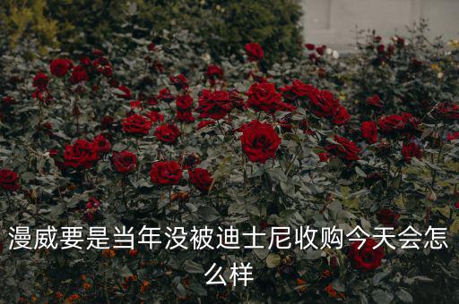 迪士尼什么時候收購漫威,迪士尼收購?？怂?/></a></span><span id=