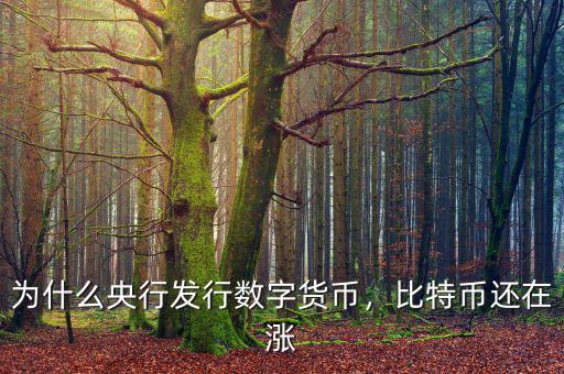 為什么央行發(fā)行數(shù)字貨幣，比特幣還在漲