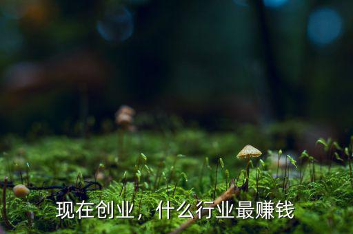 現(xiàn)在創(chuàng)業(yè)，什么行業(yè)最賺錢