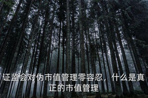 證監(jiān)會(huì)管理什么,證監(jiān)會(huì)對偽市值管理零容忍
