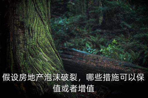 假設(shè)房地產(chǎn)泡沫破裂，哪些措施可以保值或者增值
