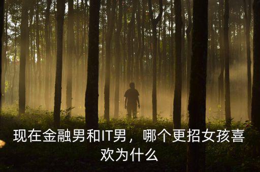現(xiàn)在金融男和IT男，哪個(gè)更招女孩喜歡為什么
