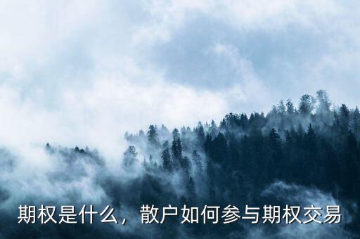期權(quán)是什么，散戶如何參與期權(quán)交易