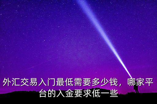 外匯交易入門最低需要多少錢，哪家平臺的入金要求低一些