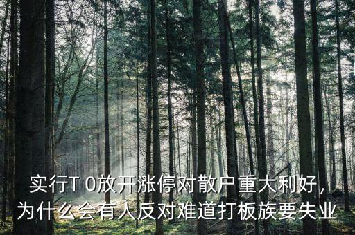 實(shí)行T 0放開漲停對(duì)散戶重大利好，為什么會(huì)有人反對(duì)難道打板族要失業(yè)