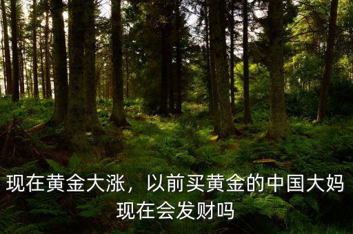 現(xiàn)在黃金大漲，以前買黃金的中國大媽現(xiàn)在會發(fā)財嗎
