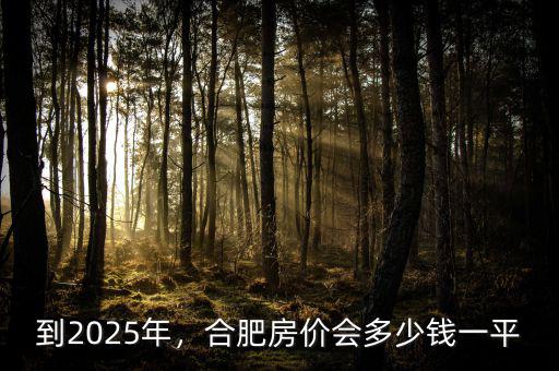 到2025年，合肥房價會多少錢一平