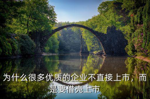 為什么很多優(yōu)質的企業(yè)不直接上市，而是要借殼上市
