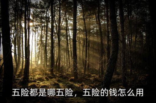 五險(xiǎn)都是哪五險(xiǎn)，五險(xiǎn)的錢(qián)怎么用