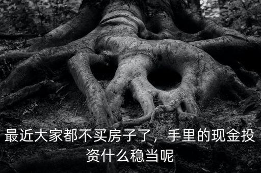 最近大家都不買(mǎi)房子了，手里的現(xiàn)金投資什么穩(wěn)當(dāng)呢