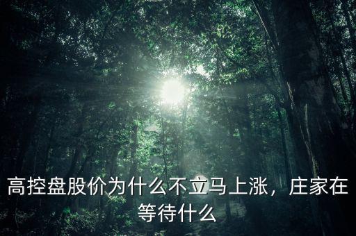 高控盤股價為什么不立馬上漲，莊家在等待什么