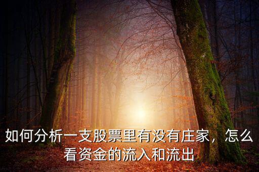 如何分析一支股票里有沒有莊家，怎么看資金的流入和流出