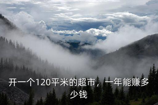 開(kāi)一個(gè)120平米的超市，一年能賺多少錢