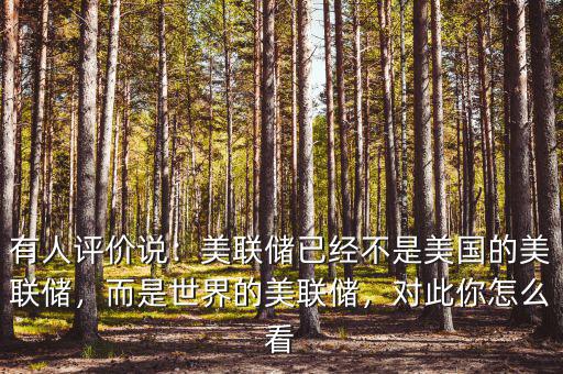 有人評(píng)價(jià)說(shuō)：美聯(lián)儲(chǔ)已經(jīng)不是美國(guó)的美聯(lián)儲(chǔ)，而是世界的美聯(lián)儲(chǔ)，對(duì)此你怎么看