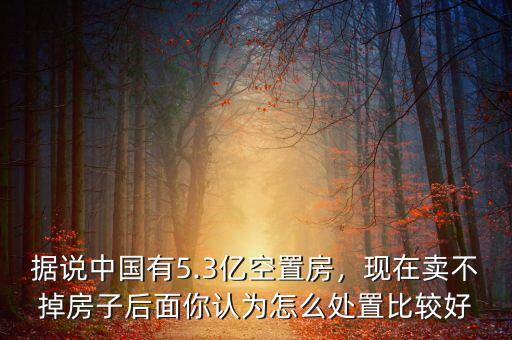 據(jù)說中國(guó)有5.3億空置房，現(xiàn)在賣不掉房子后面你認(rèn)為怎么處置比較好
