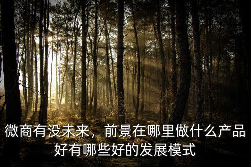 微商有沒未來，前景在哪里做什么產(chǎn)品好有哪些好的發(fā)展模式