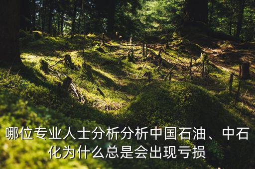 哪位專業(yè)人士分析分析中國石油、中石化為什么總是會(huì)出現(xiàn)虧損