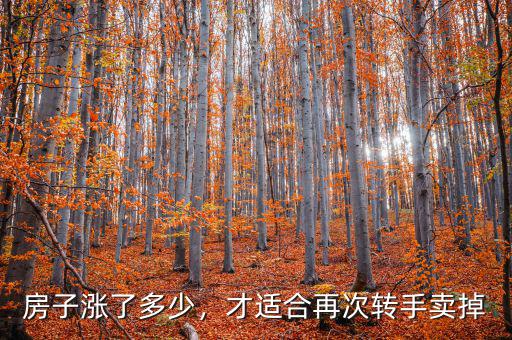 房子漲了多少，才適合再次轉(zhuǎn)手賣(mài)掉