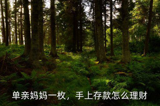 單親媽媽一枚，手上存款怎么理財(cái)