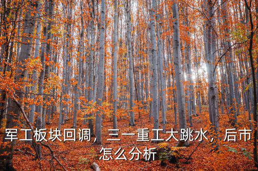 軍工板塊回調(diào)，三一重工大跳水，后市怎么分析