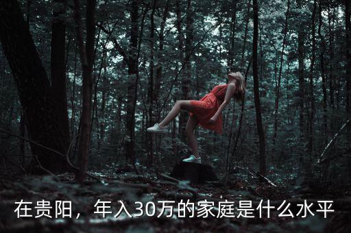 在貴陽，年入30萬的家庭是什么水平