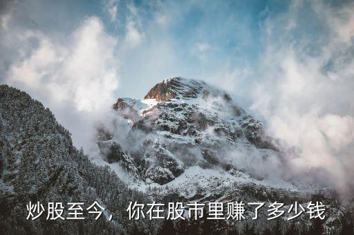 炒股至今，你在股市里賺了多少錢