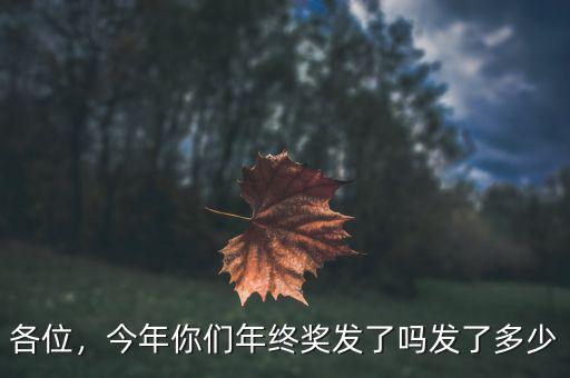 各位，今年你們年終獎發(fā)了嗎發(fā)了多少