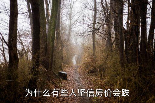 為什么房價(jià)會(huì)跌,為什么有些人堅(jiān)信房價(jià)會(huì)跌