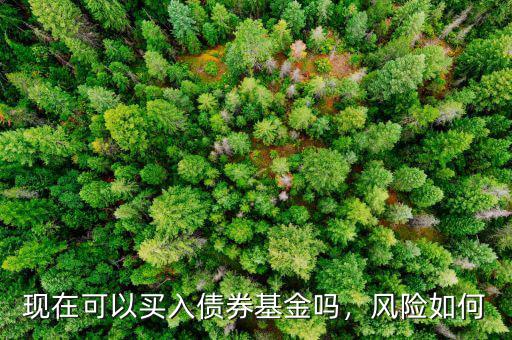 現(xiàn)在可以買入債券基金嗎，風(fēng)險如何