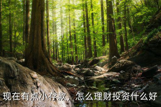 現(xiàn)在有點小存款，怎么理財投資什么好