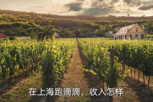 在上海跑滴滴，收入怎樣