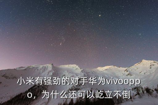 小米有強(qiáng)勁的對手華為vivooppo，為什么還可以屹立不倒