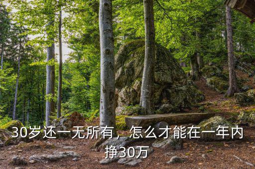 30歲還一無所有，怎么才能在一年內(nèi)掙30萬