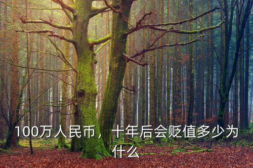 100萬人民幣，十年后會貶值多少為什么