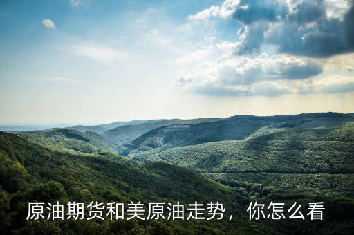 原油期貨和美原油走勢，你怎么看
