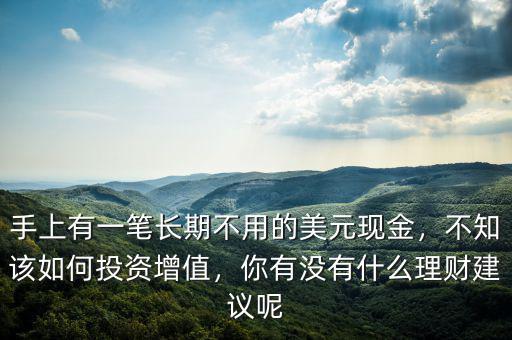 手上有一筆長期不用的美元現(xiàn)金，不知該如何投資增值，你有沒有什么理財建議呢