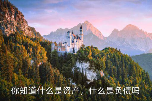 你知道什么是資產(chǎn)，什么是負(fù)債嗎