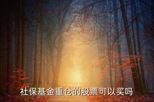 社保買了獐子島多少股票,社?；鹬貍}的股票可以買嗎