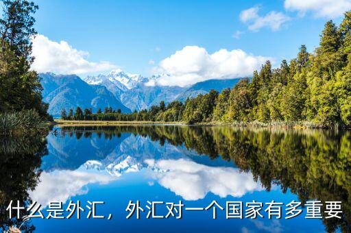 什么是外匯，外匯對一個國家有多重要