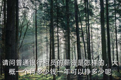 請問普通銀行柜員的薪資是怎樣的，大概一個月多少錢一年可以掙多少呢