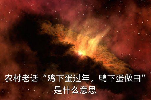 農(nóng)村老話“雞下蛋過年，鴨下蛋做田”是什么意思