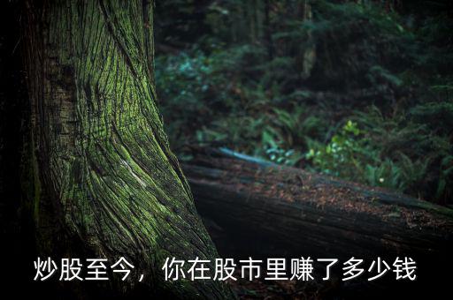 炒股至今，你在股市里賺了多少錢(qián)
