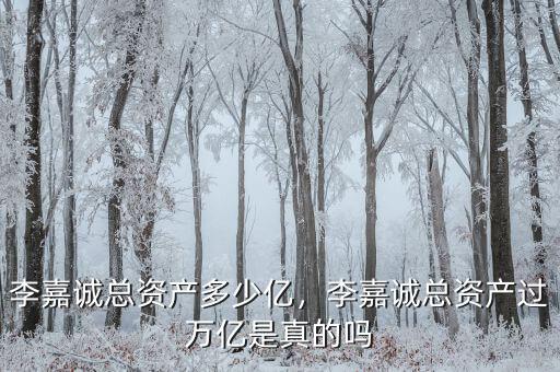 李嘉誠總資產多少億，李嘉誠總資產過萬億是真的嗎