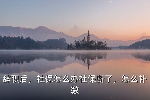 辭職后，社保怎么辦社保斷了，怎么補(bǔ)繳